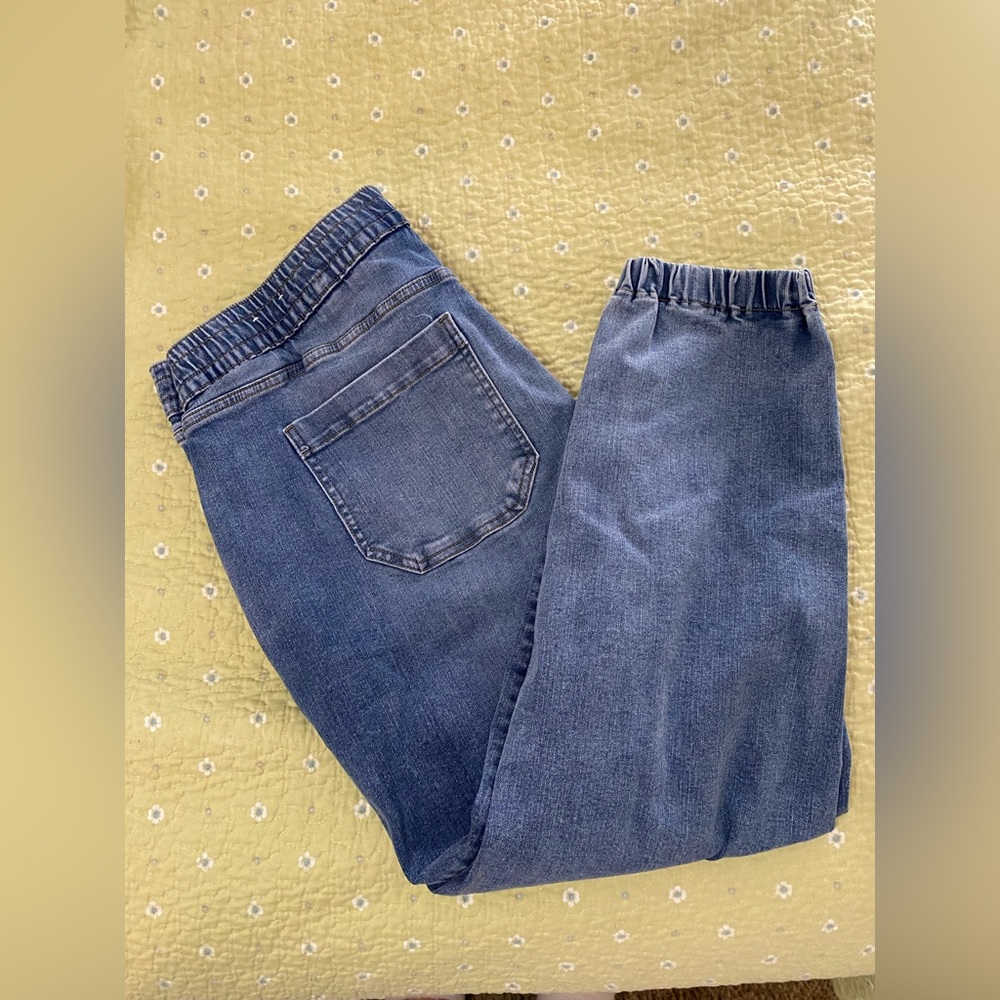 Lane Bryant Jean Joggers